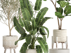 plants in decorative white rattan baskets 1017 3D Модель
