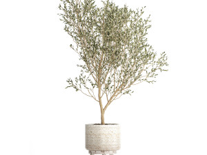 plants in decorative white rattan baskets 1017 3D Модель