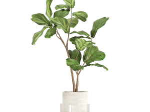 plants in decorative white rattan baskets 1017 3D Модель