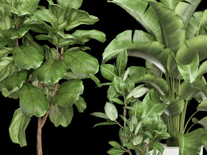 इंटीरियर के लिए फ्लावरपॉट में हाउसप्लांट 1018 3D मॉडल