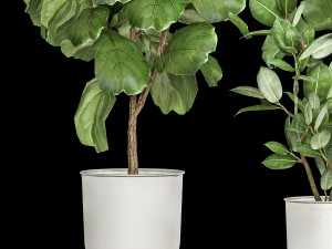 houseplants in a flowerpot for the interior 1018 Modelo 3D
