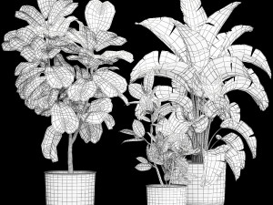 houseplants in a flowerpot for the interior 1018 Modelo 3D
