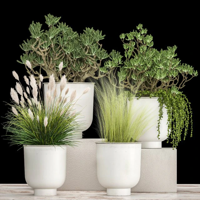 plantas de casa em um vaso branco para o interior 1019 Modelo 3D .c4d .max .obj .3ds .fbx .stl .blend 