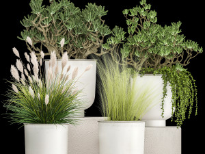 houseplants in a white flowerpot for the interior 1019 3D Model