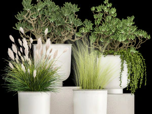 plantas de casa em um vaso branco para o interior 1019 Modelo 3D
