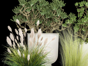 plantas de casa em um vaso branco para o interior 1019 Modelo 3D