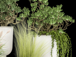 houseplants in a white flowerpot for the interior 1019 3D Model