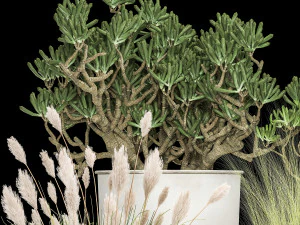 plantas de casa em um vaso branco para o interior 1019 Modelo 3D