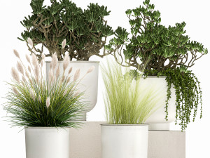 houseplants in a white flowerpot for the interior 1019 3D Model