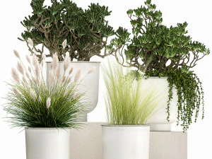 plantas de casa em um vaso branco para o interior 1019 Modelo 3D