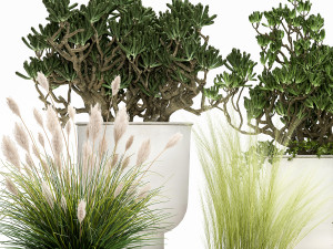 houseplants in a white flowerpot for the interior 1019 3D Model