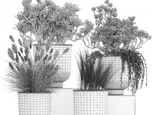houseplants in a white flowerpot for the interior 1019 3D Model