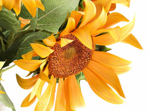 flower bouquet of sunflowers in a vase 118 3D Model