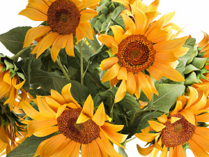 flower bouquet of sunflowers in a vase 118 3D Model