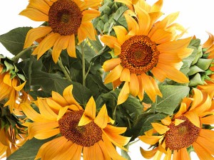 flower bouquet of sunflowers in a vase 118 3D Model