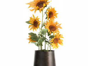 sunflowers in a flowerpot for the interior 1020 Modello 3D