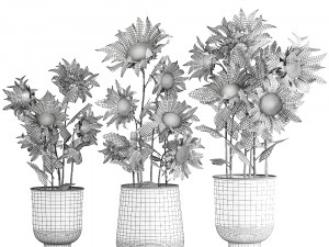 sunflowers in a flowerpot for the interior 1020 Modello 3D