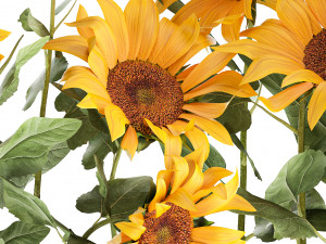 sunflowers in a flowerpot 1021 Modelo 3D
