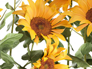 sunflowers in a flowerpot 1021 3D Model