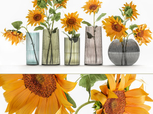 flower bouquet of sunflowers in a vase 120 3D Models