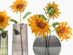 flower bouquet of sunflowers in a vase 120 3D Model