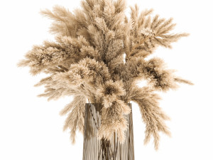 bouquet of dried reeds in a vase 122 3D Model
