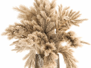 bouquet of dried reeds in a vase 122 3D Modell