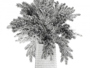 bouquet of dried reeds in a vase 122 3D Modell