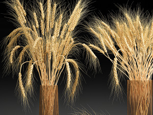 decorative bouquet of wheat ears in a vase for decor 123 Modello 3D