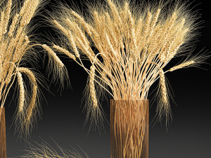 decorative bouquet of wheat ears in a vase for decor 123 Modello 3D