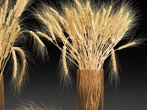 decorative bouquet of wheat ears in a vase for decor 123 3D Model