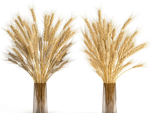 decorative bouquet of wheat ears in a vase for decor 124 3D Models