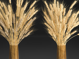 decorative bouquet of wheat ears in a vase for decor 124 3D Model