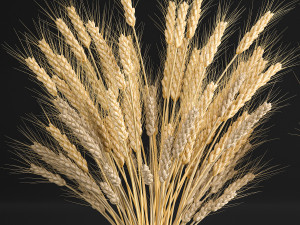 decorative bouquet of wheat ears in a vase for decor 124 3D Model