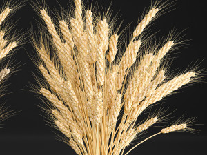 decorative bouquet of wheat ears in a vase for decor 124 3D Model