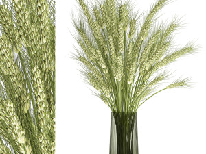 decorative bouquet of wheat ears in a vase for decor 125 3D Model