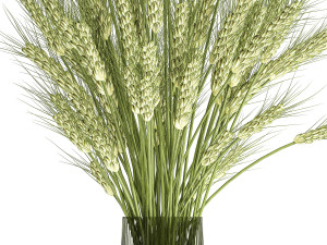 decorative bouquet of wheat ears in a vase for decor 125 3D Model
