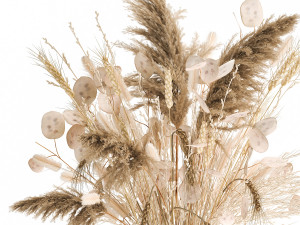 bouquet of dried flowers in a glass vase 126 3D Модель