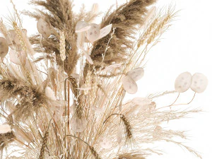bouquet of dried flowers in a glass vase 126 3D Model