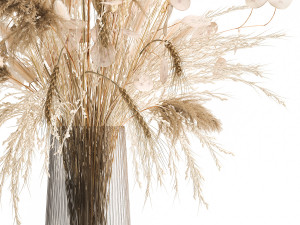 bouquet of dried flowers in a glass vase 126 3D Модель