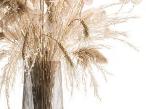 bouquet of dried flowers in a glass vase 126 3D Model