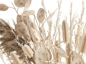 bouquet of dried flowers in a glass vase 127 3D Model