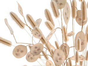 bouquet of dried flowers in a glass vase 128 Model 3D