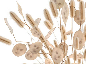 bouquet of dried flowers in a glass vase 128 3D Model