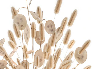 bouquet of dried flowers in a glass vase 128 3D Model
