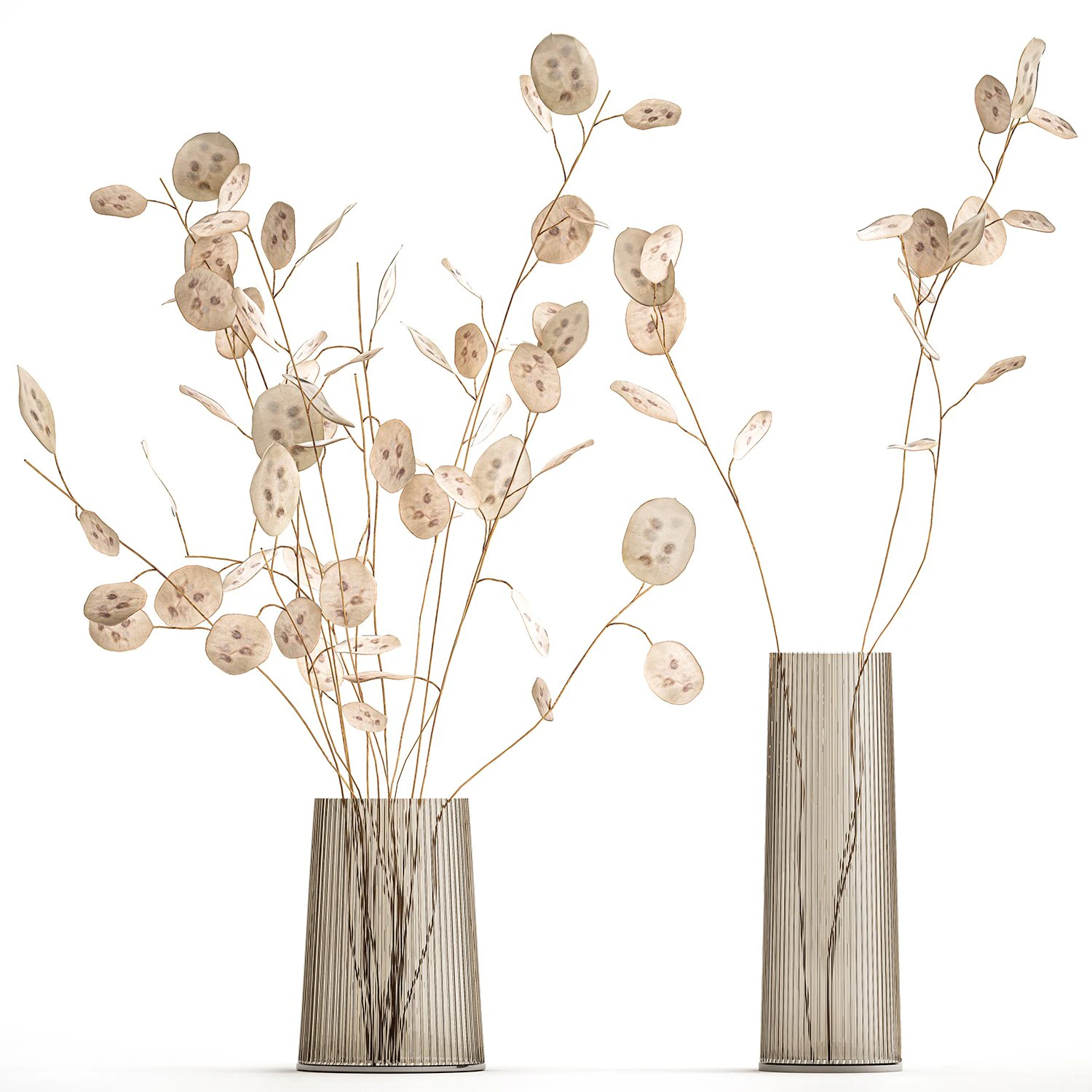 bouquet of dried flowers lunaria in a glass vase 129 3D Model .c4d .max .obj .3ds .fbx .stl .blend 