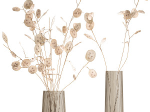 bouquet of dried flowers lunaria in a glass vase 129 3D 모델