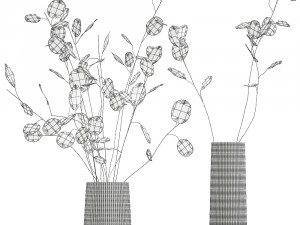 bouquet of dried flowers lunaria in a glass vase 129 3D 模型