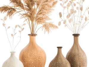 bouquet of dried flowers lunaria in a clay vase 130 Model 3D