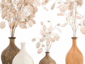 bouquet of dried flowers lunaria in a clay vase 131 3D Модель